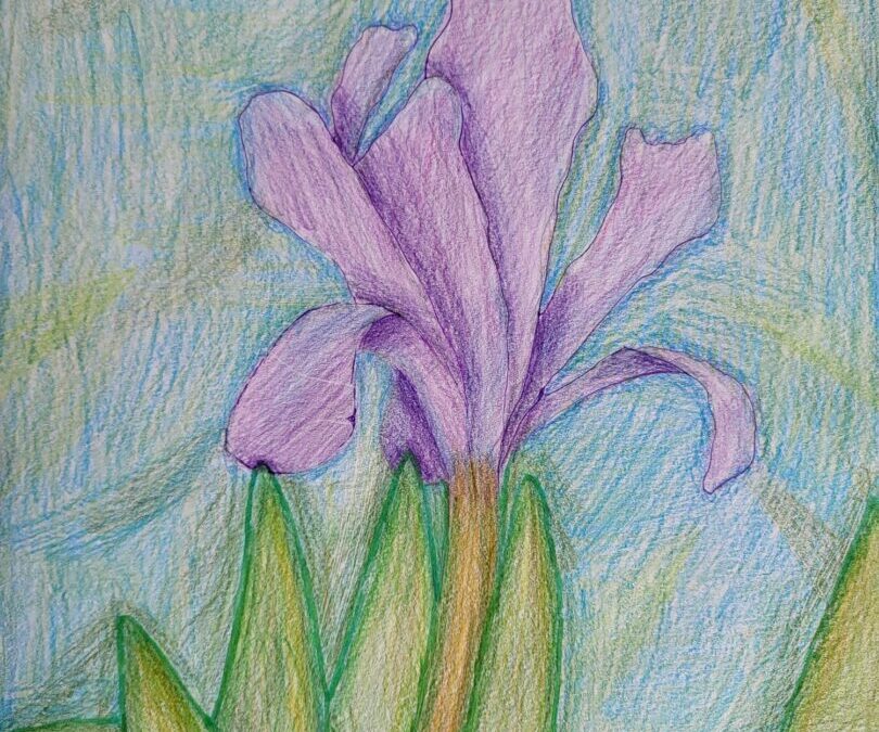 Županijsko stručno vijeće učitelja povijesti Zagrebačke županije – zapad